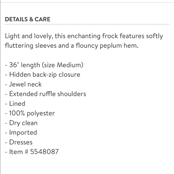 NWT!! Ruffle Hem Sheath Dress by 19 Cooper - Picture 8 of 8